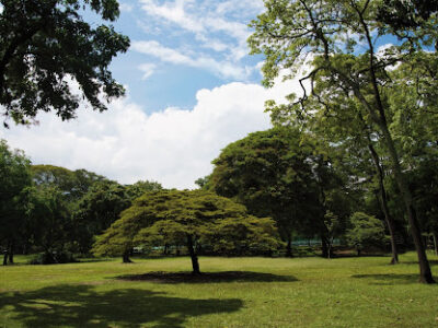Jardín Botánico de Medellín