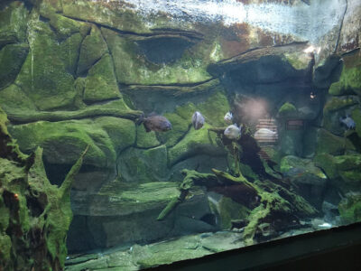 Parque Explora