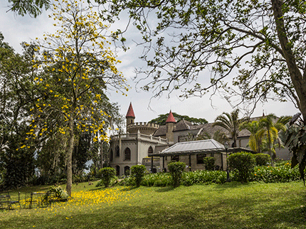 Museo El Castillo