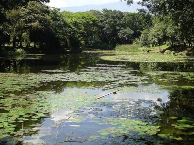 Jardín Botánico de Medellín