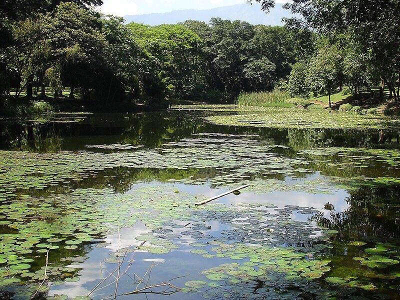 Jardín Botánico de Medellín