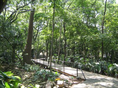 Jardín Botánico de Medellín