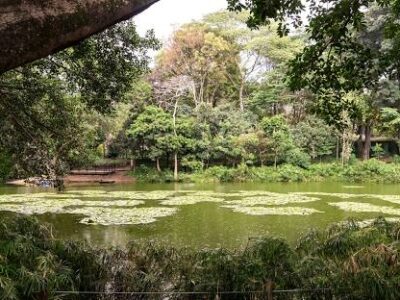Jardín Botánico de Medellín