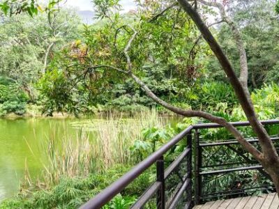 Jardín Botánico de Medellín