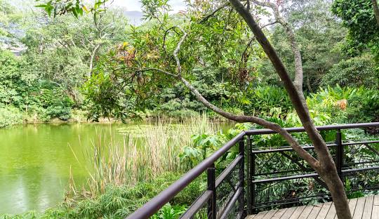 Jardín Botánico de Medellín