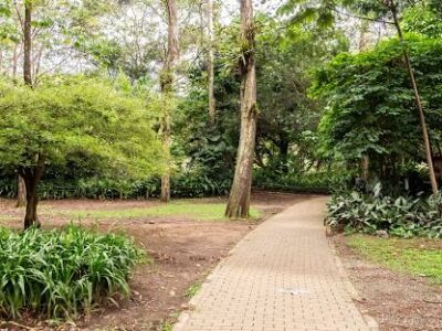 Jardín Botánico de Medellín